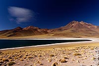 Chili, désert Atacama : lagunas Miscanti